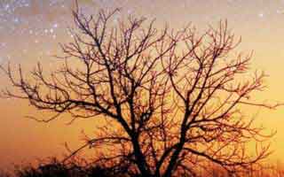 每日大赛吃瓜的隐藏逻辑：更新其实不复杂，看完就不纠结更直给，这就是差距