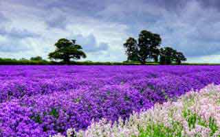 详细阅读:从每日大赛到隐藏机制—小众视角更不容易翻车,真相不止一个 从每日大赛到隐藏机制—小众视角更不容易翻车,真相不止一个