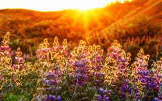 从每日大赛到隐藏机制—小众视角更不容易翻车，真相不止一个