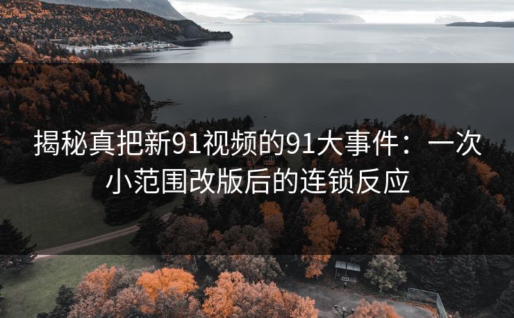 揭秘真把新91视频的91大事件：一次小范围改版后的连锁反应